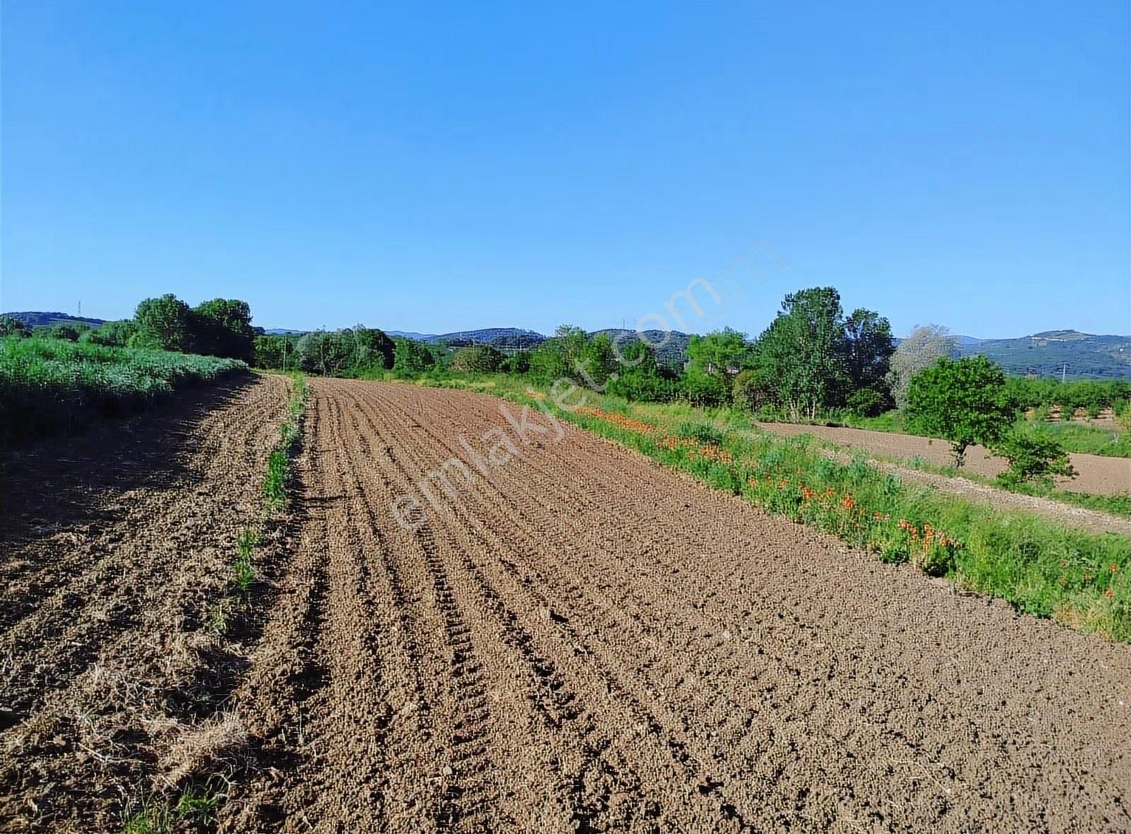Alemdar Gayrimenkul Hendek Karatoprak Mah.1200 M2 Satılık Tarla - Görsel 11