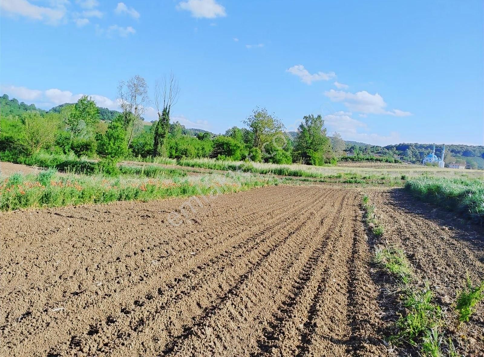Alemdar Gayrimenkul Hendek Karatoprak Mah.1200 M2 Satılık Tarla - Görsel 2