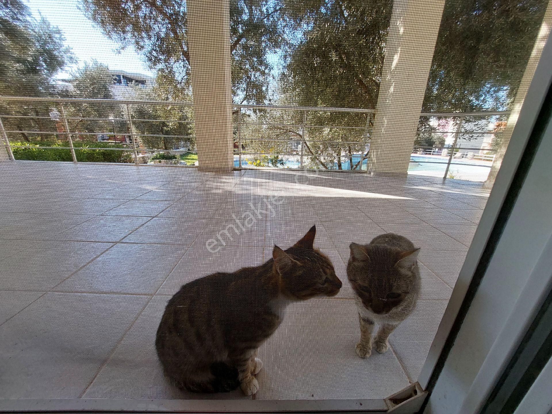 2+1 Villa Eşyalı, Havuzlu, Otoparklı, Çocuk Oyun Alanlı - Görsel 16