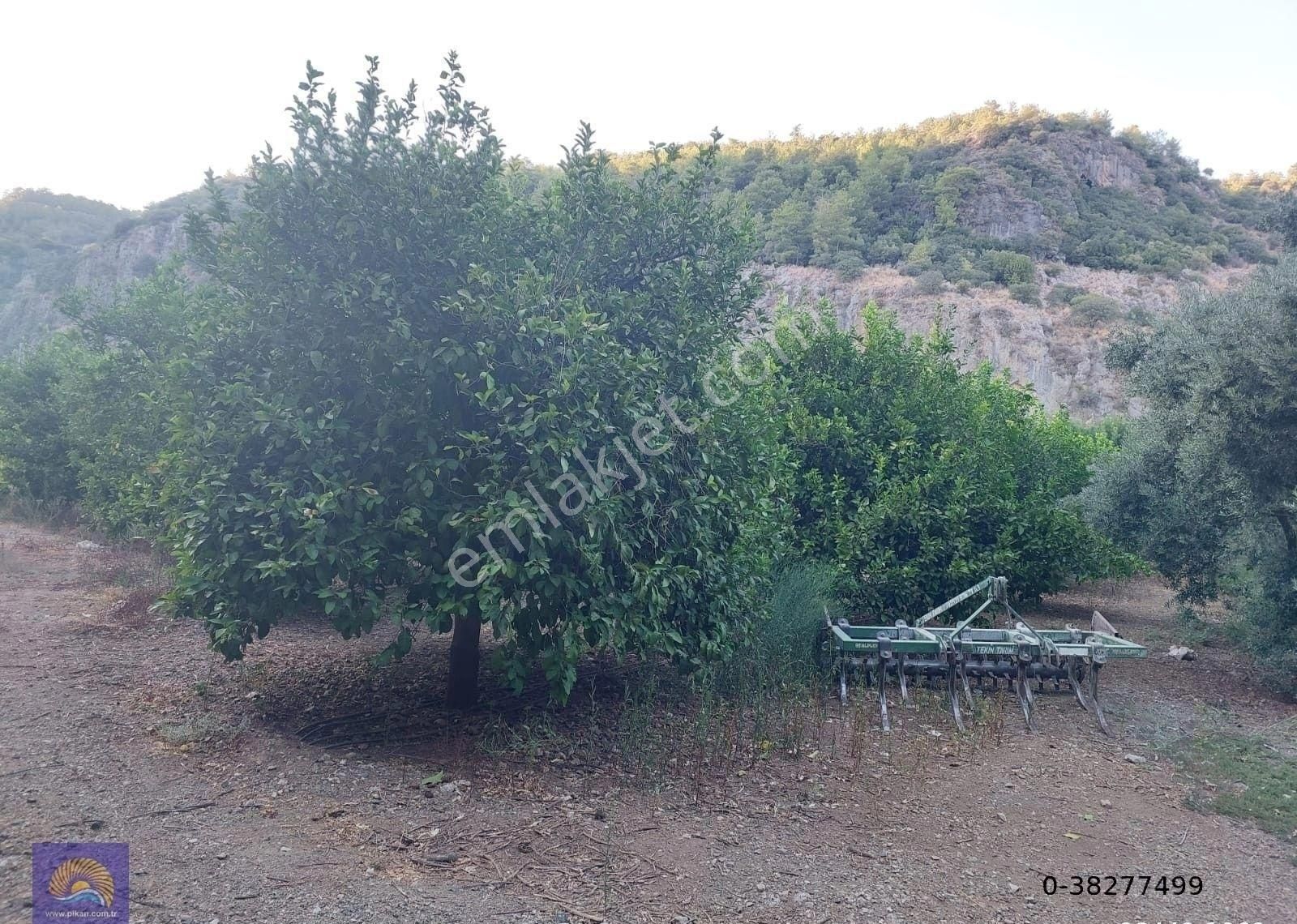 Muğla, Ortaca, Karadonlar Da 1.300 M2 Müstakil 250m2 Konut İmarlı Arsa Satılık - Görsel 2