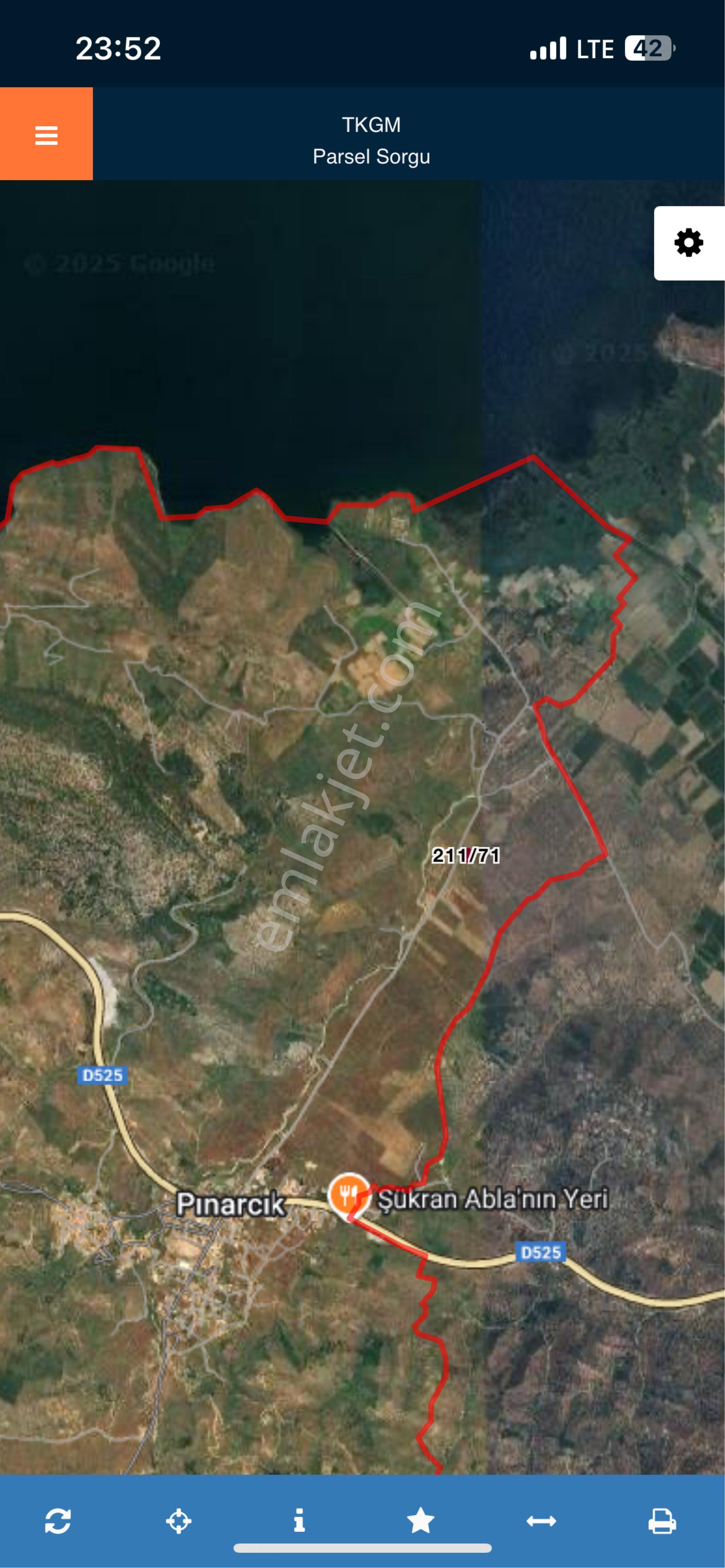 Muğla Milas Pınarcık Da Zeytinlik - Görsel 3