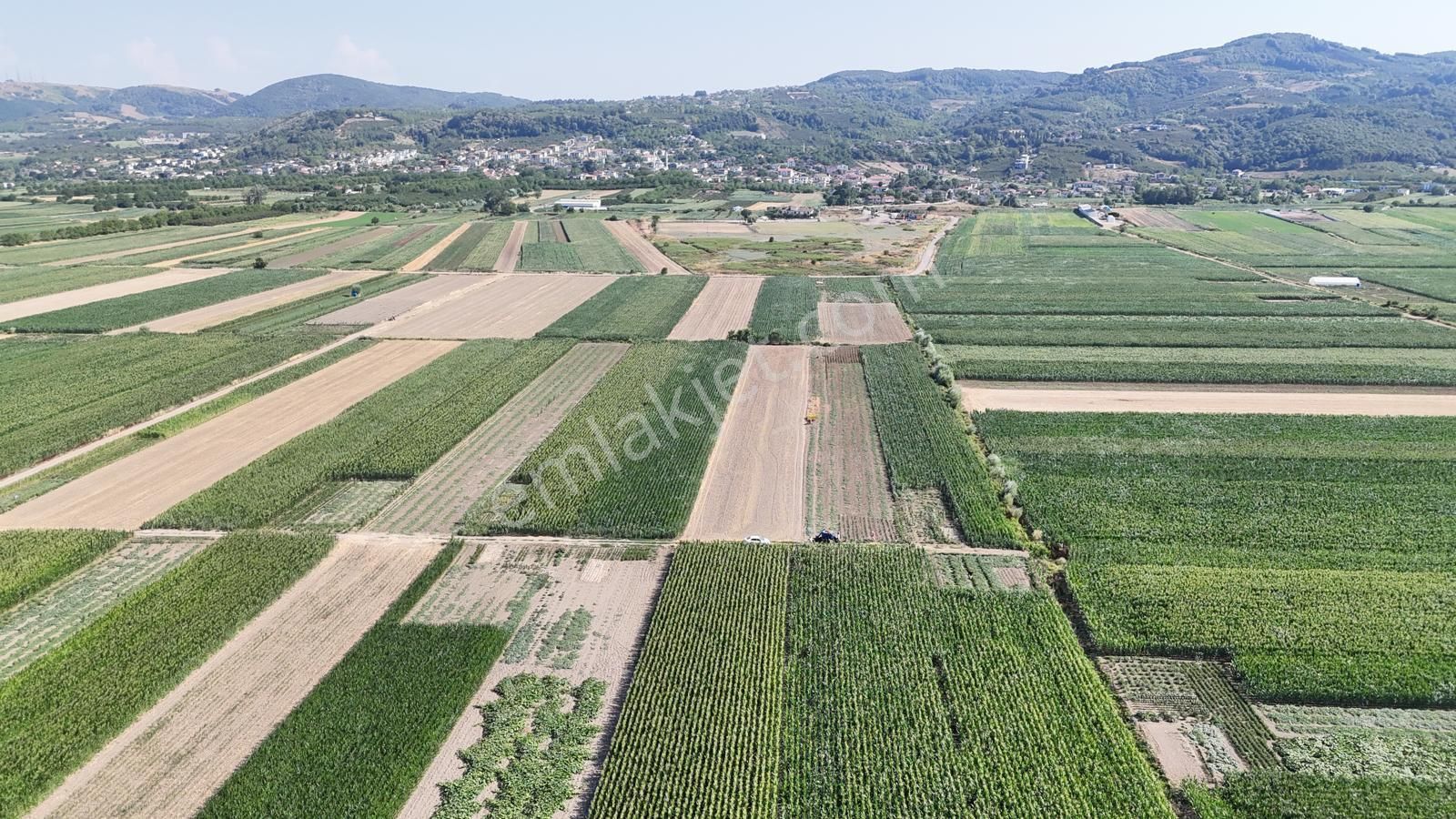 Serdivan Kazımpaşa Da Müstakil Tarla - Görsel 3