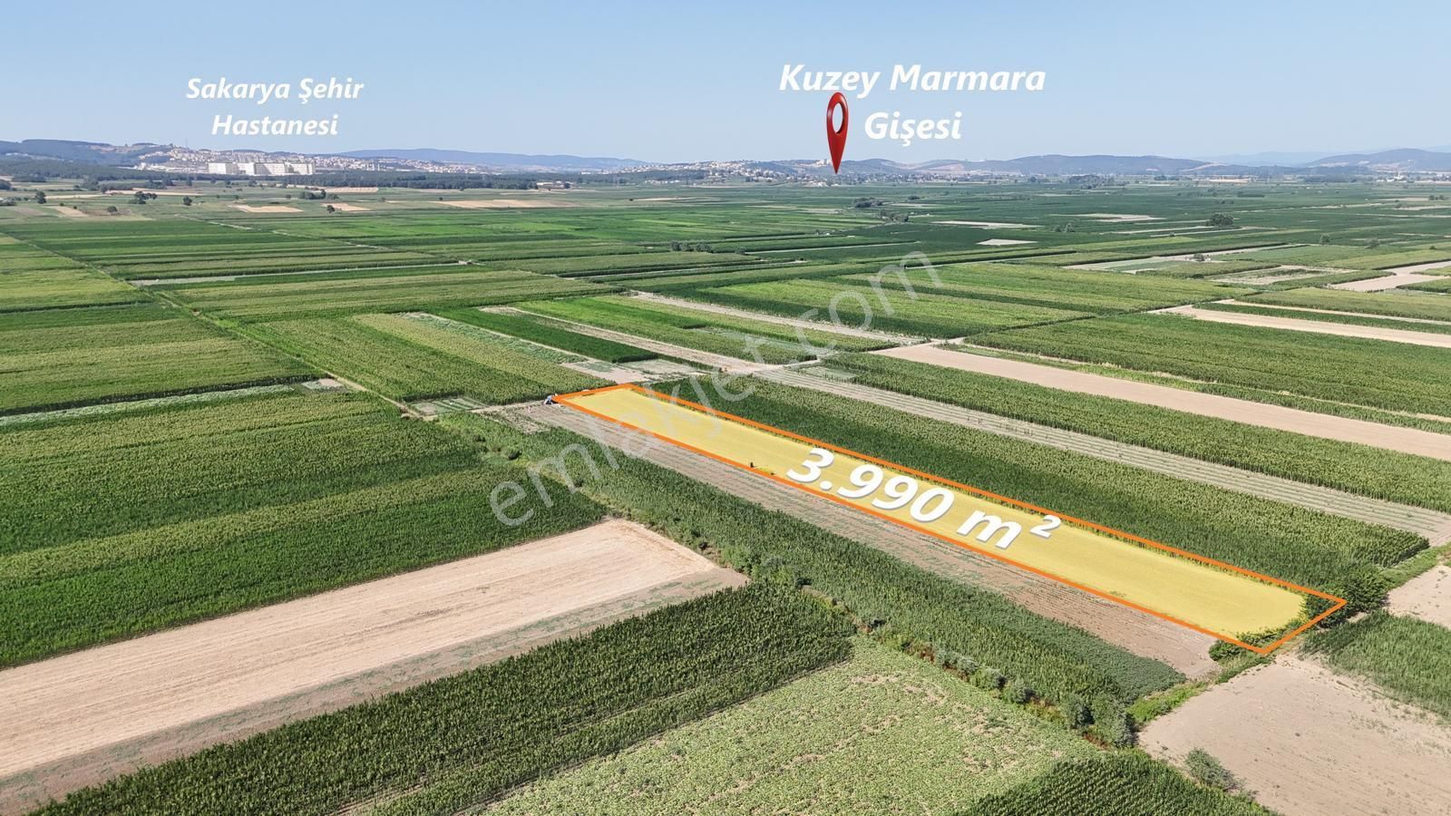 Serdivan Kazımpaşa Da Müstakil Tarla - Görsel 5