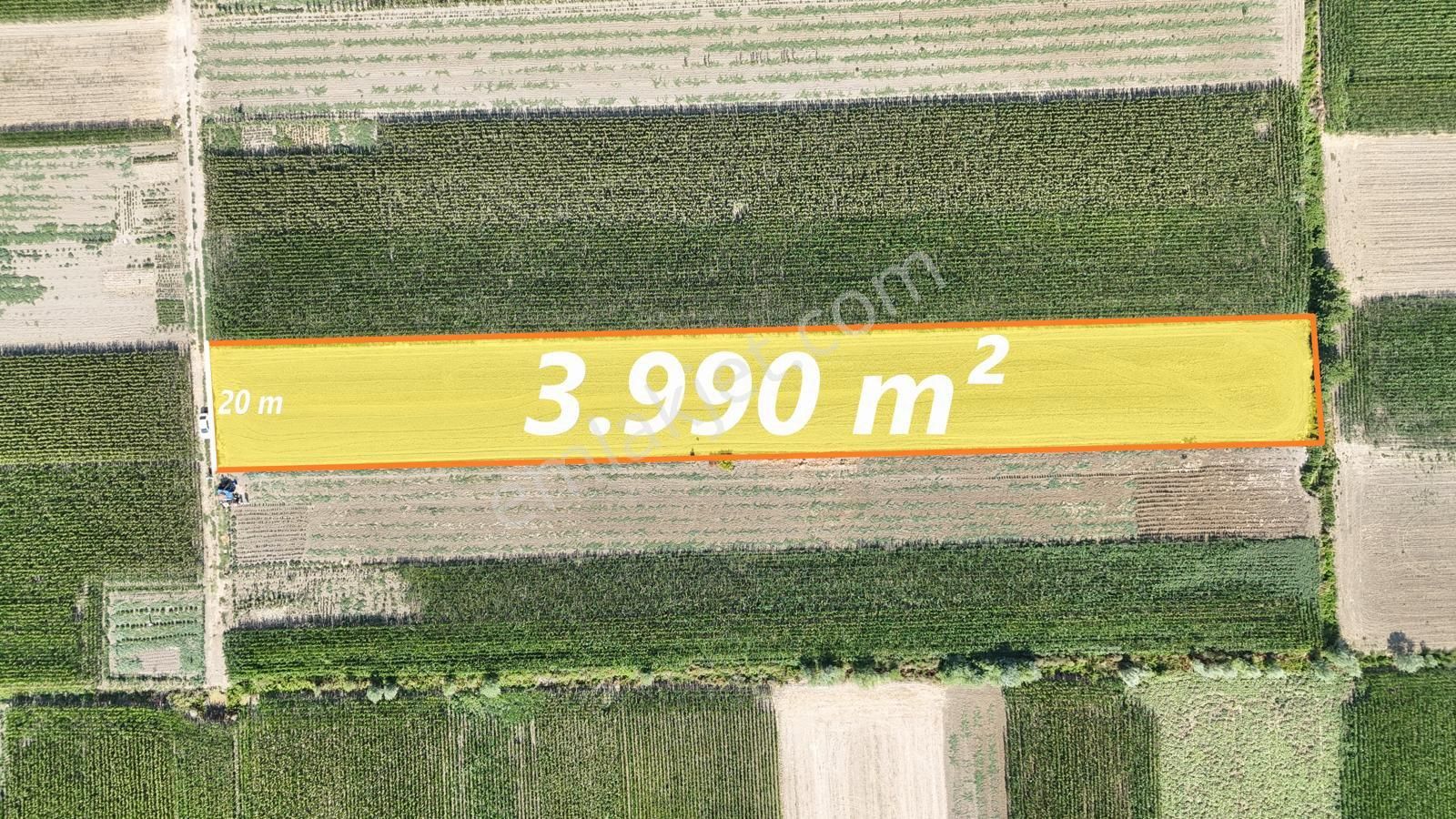 Serdivan Kazımpaşa Da Müstakil Tarla - Görsel 4