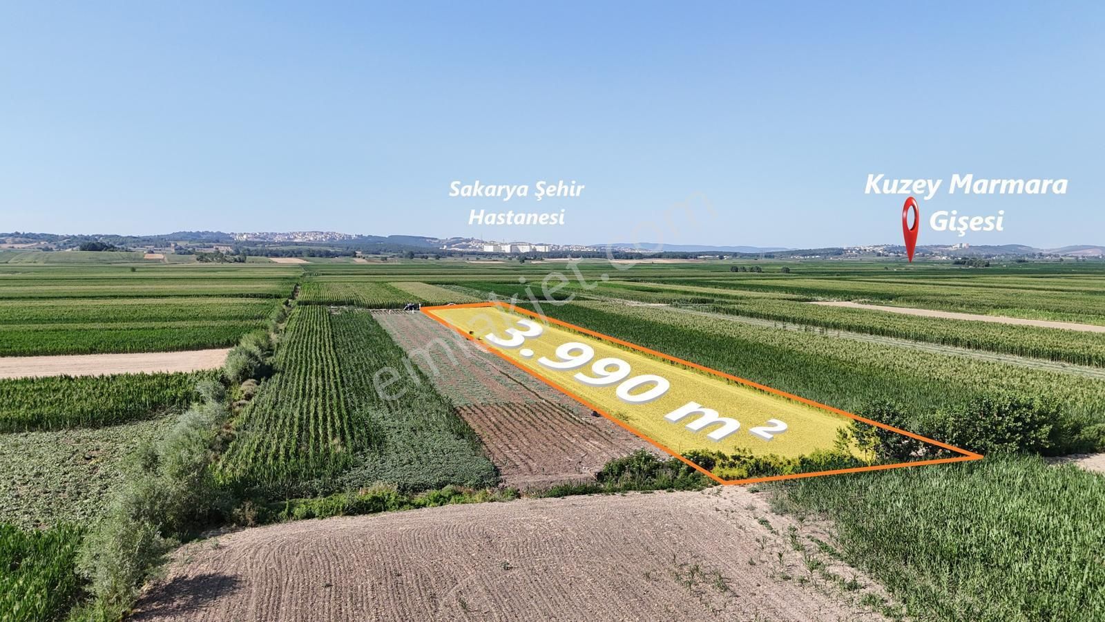 Serdivan Kazımpaşa Da Müstakil Tarla - Görsel 7