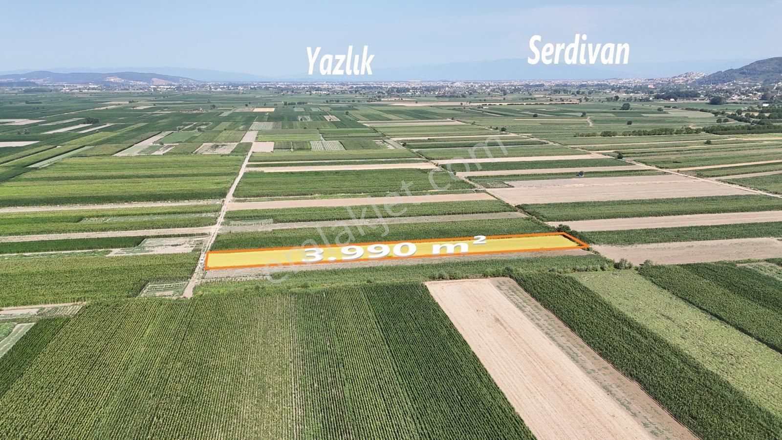 Serdivan Kazımpaşa Da Müstakil Tarla - Görsel 6