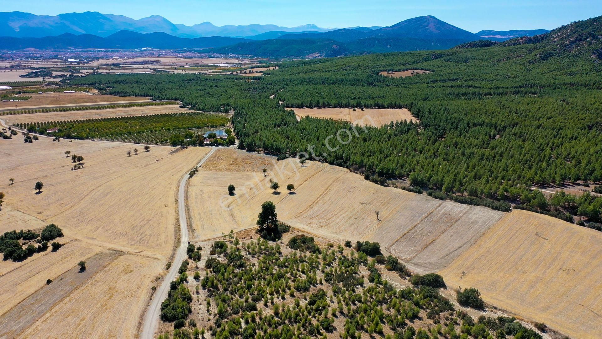 Antalya Korkuteli Akyar Mevki Satılık Yatırımlık Tarla - Görsel 9