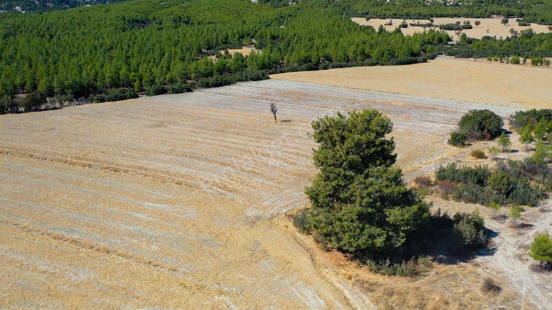 Antalya Korkuteli Akyar Mevki Satılık Yatırımlık Tarla - Görsel 7