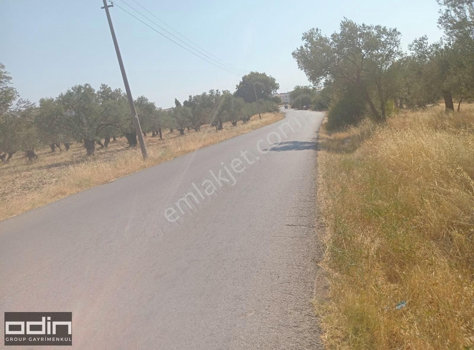 Ayvalık Şirinkent Yolu Üzerinde İmara Girecek İlk Bölgede - Görsel 2