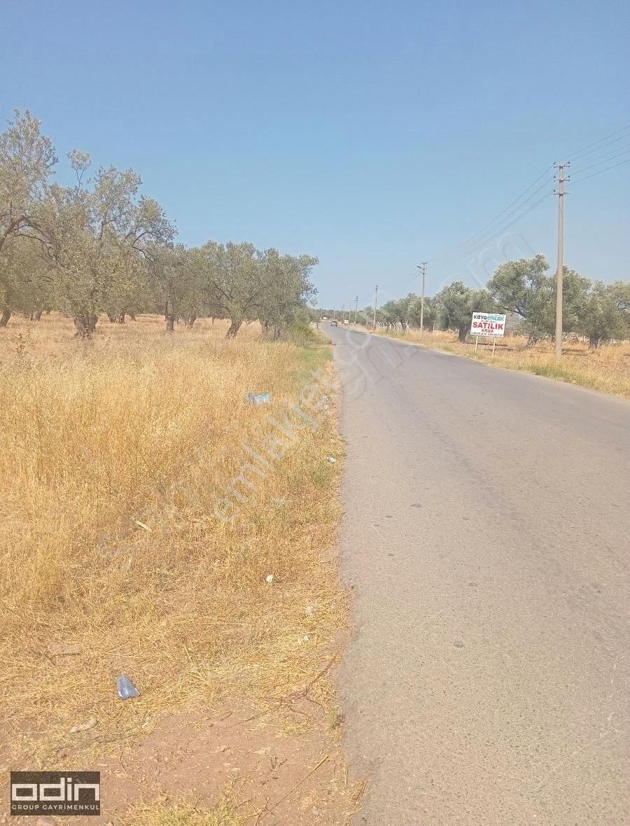 Ayvalık Şirinkent Yolu Üzerinde İmara Girecek İlk Bölgede - Görsel 4