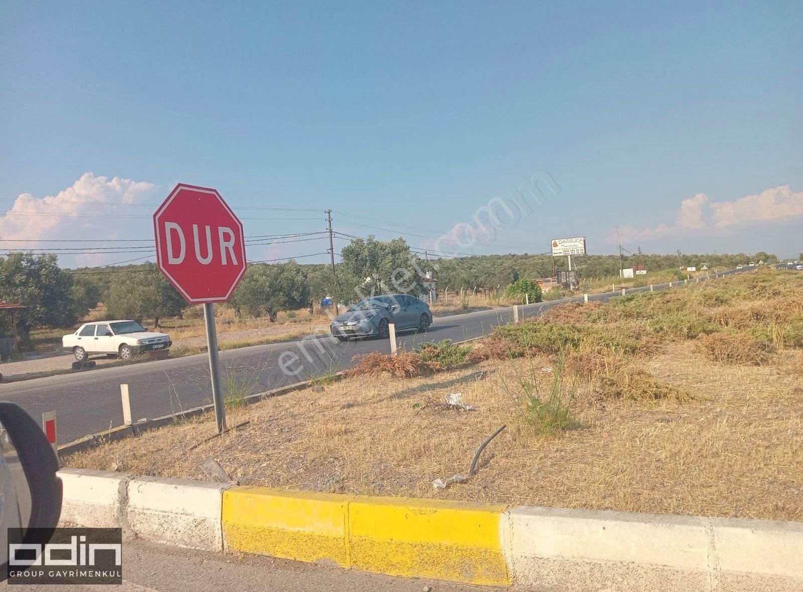 Odin'den Ayvalık Ana Asfalta 2. Parsel Kelepir Zeytinlik - Görsel 6