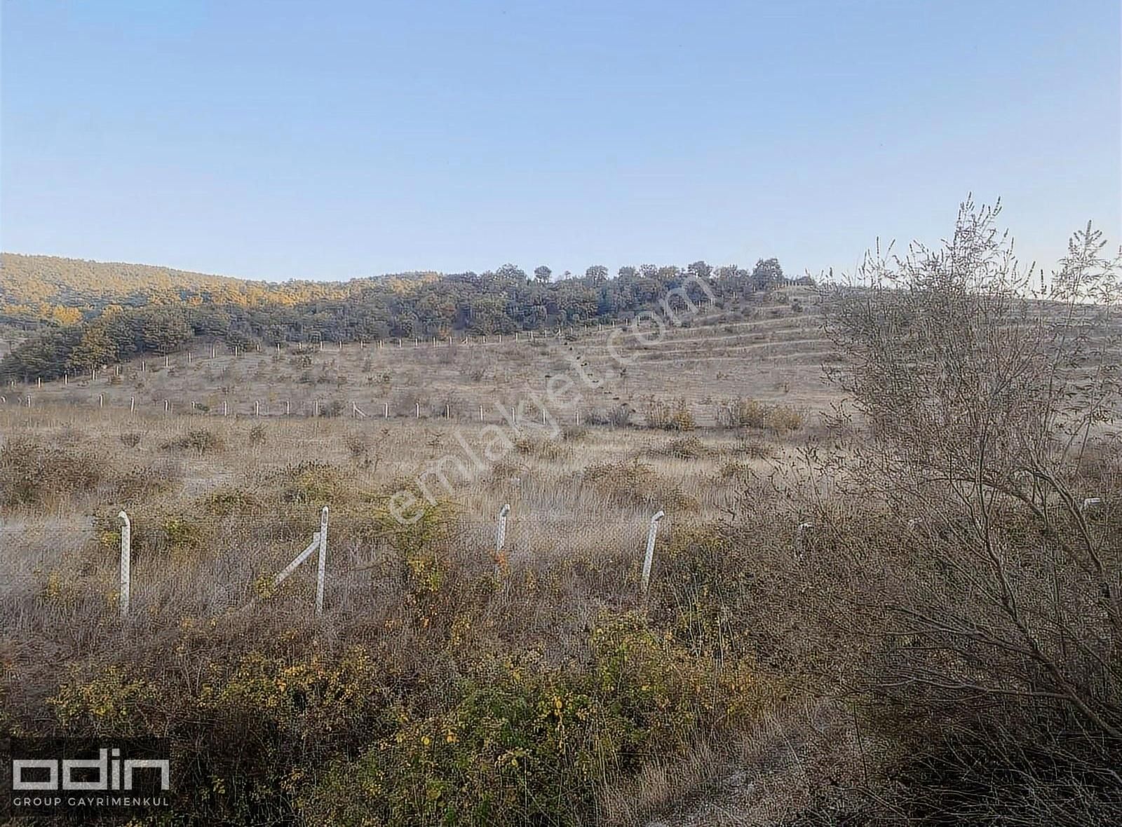 Fırsat Ayvacık Büyükhusun Köyün'de Yola Cephe Satılık Tarla - Görsel 16