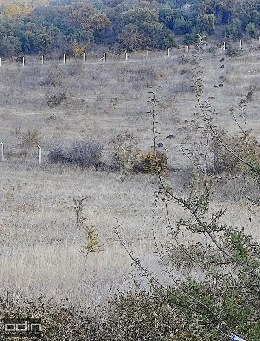 Fırsat Ayvacık Büyükhusun Köyün'de Yola Cephe Satılık Tarla - Görsel 2
