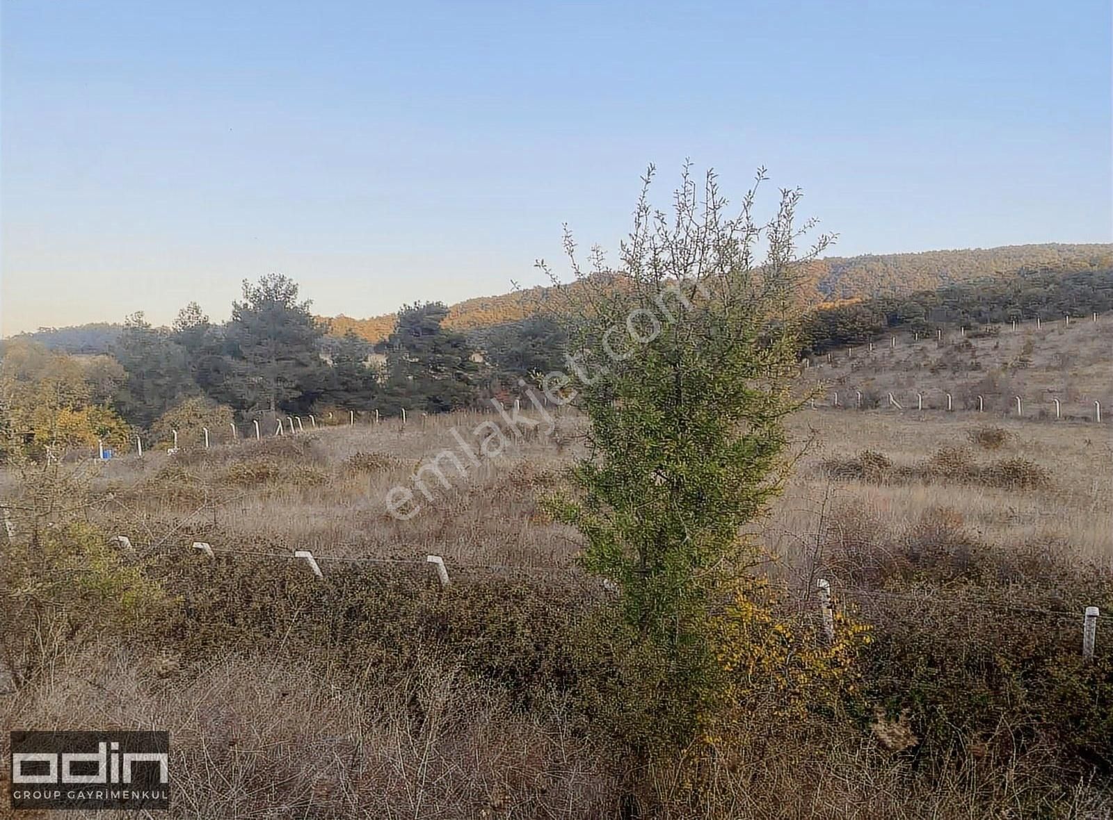 Fırsat Ayvacık Büyükhusun Köyün'de Yola Cephe Satılık Tarla - Görsel 11