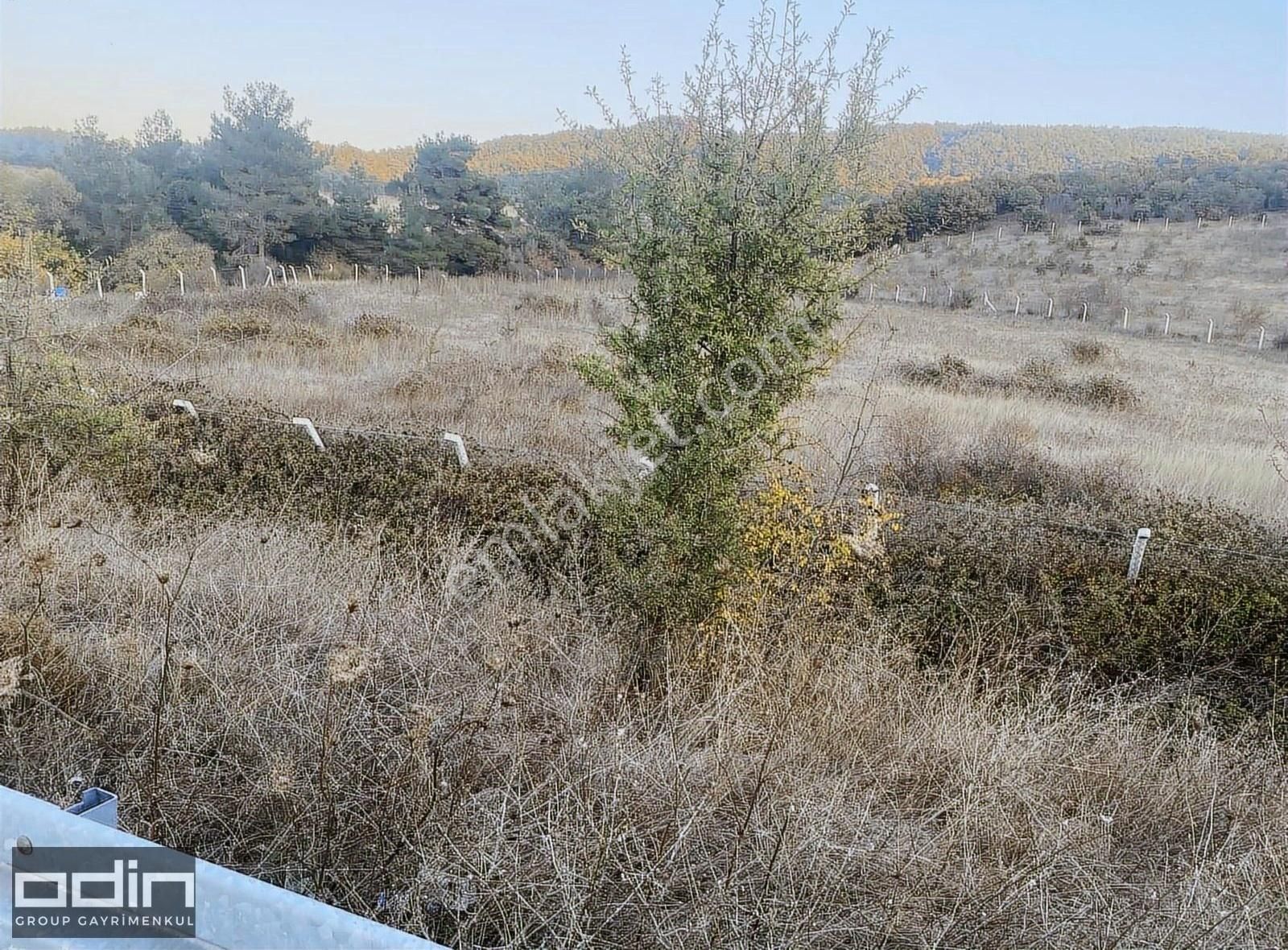 Fırsat Ayvacık Büyükhusun Köyün'de Yola Cephe Satılık Tarla - Görsel 3