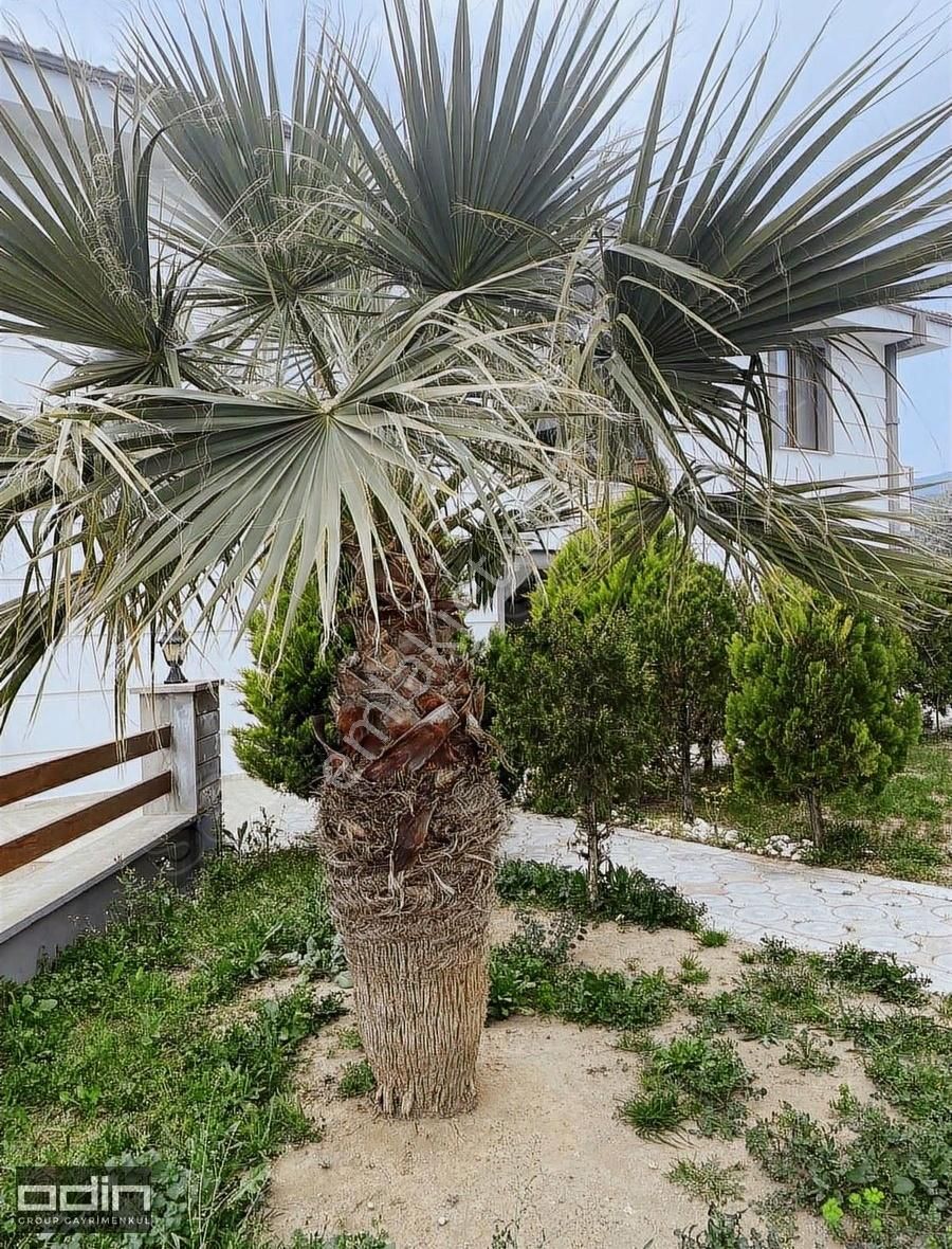 Küçükkuyu Tepe Evler Site Havuz Karşısı 3+1 Ultra Konforlu Daire - Görsel 33