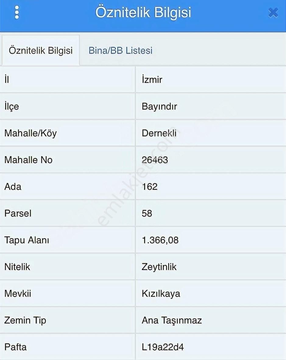 İzmir Bayındır Dernekli De 1366 M2 Tek Tapu Zeytinlik - Görsel 2