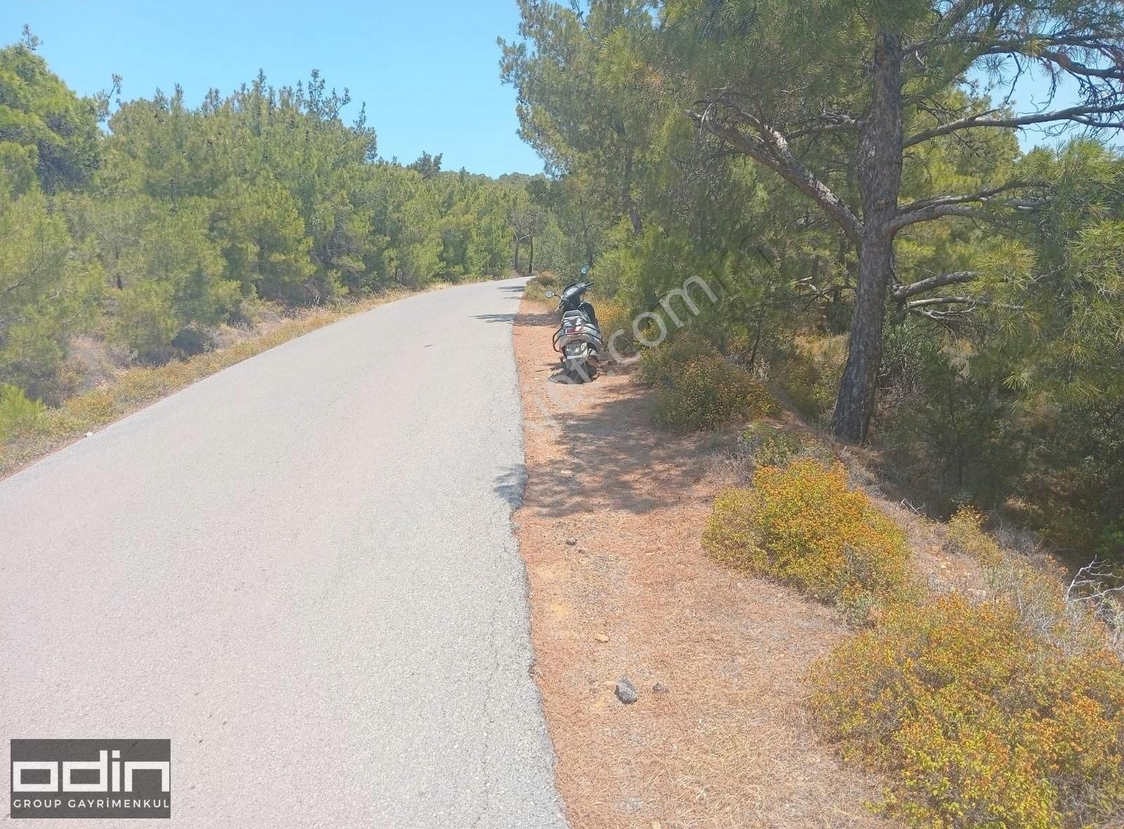 Ayvalık Cunda'da Ortunç Yolu Üzerinde Yola Sıfır Deniz Manzaralı - Görsel 2