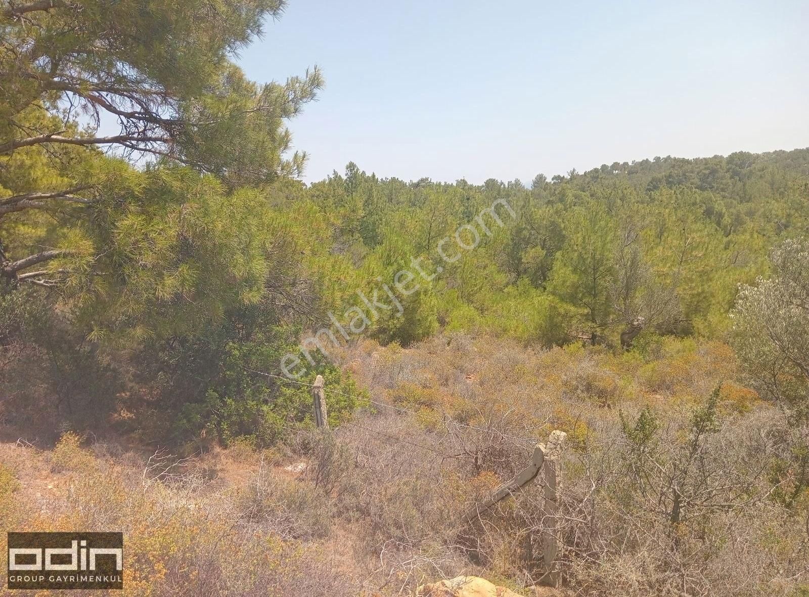 Ayvalık Cunda'da Ortunç Yolu Üzerinde Yola Sıfır Deniz Manzaralı - Görsel 4