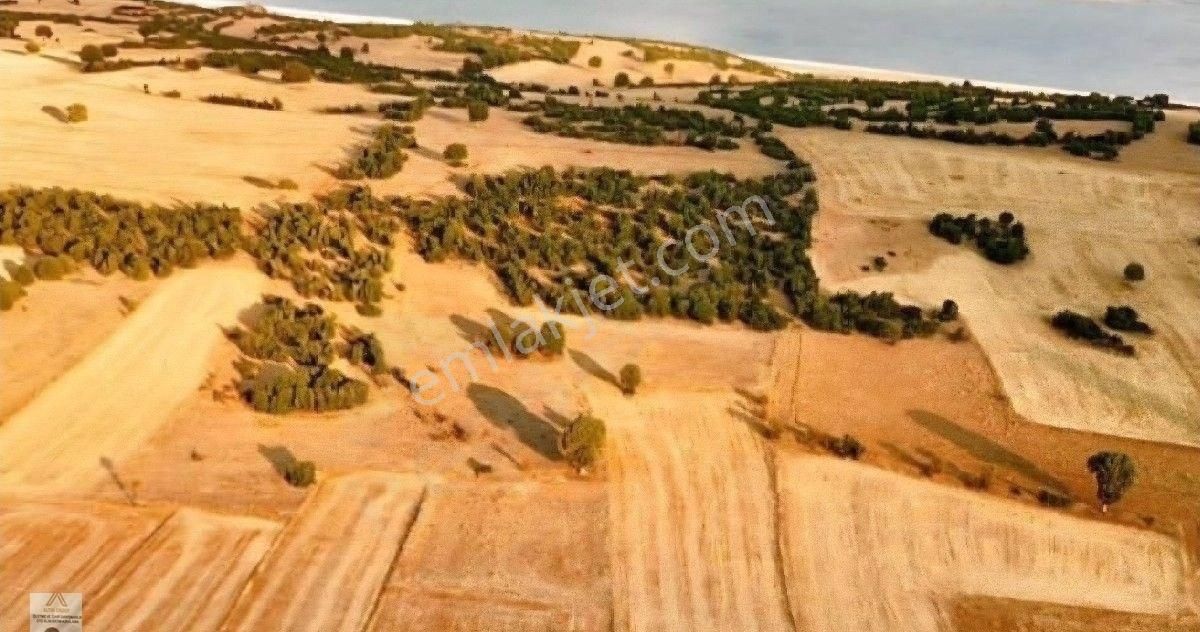 Burdur Merkez Kayış Köyünde 1413 Metrekare Çok Ucuza Kupon Kaçırılmayacak Tarla Acil Satılık