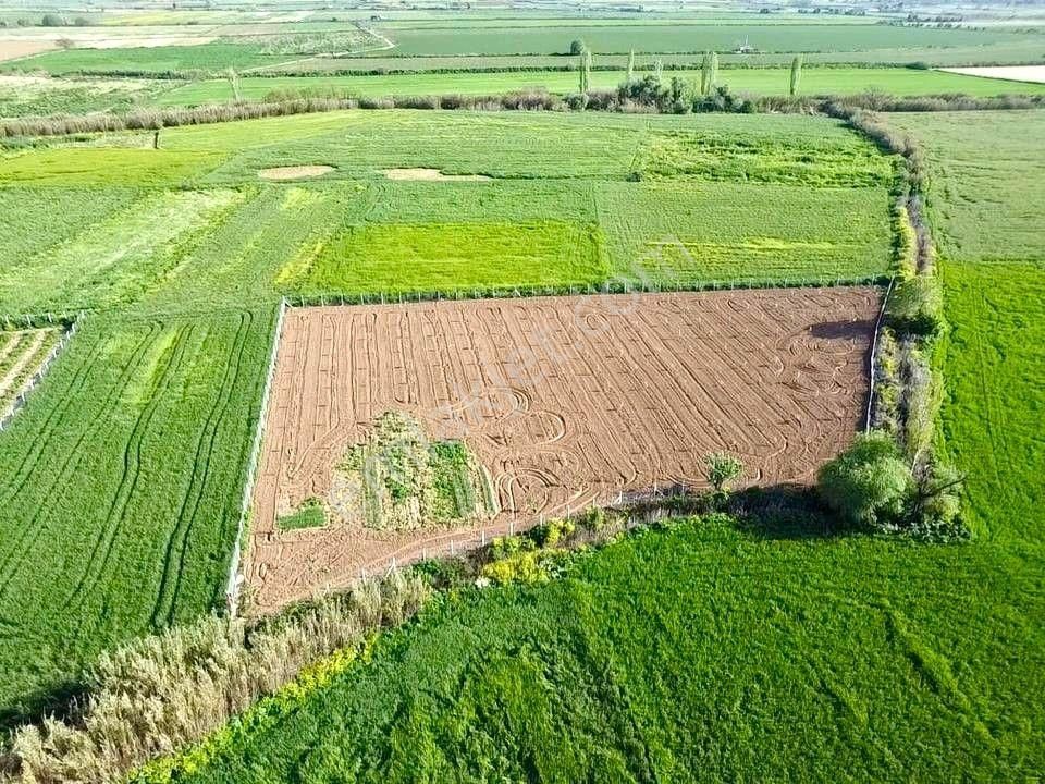 Tire Ye 15 Km Mesafede Satılık Harika Bir Tarla - Görsel 11