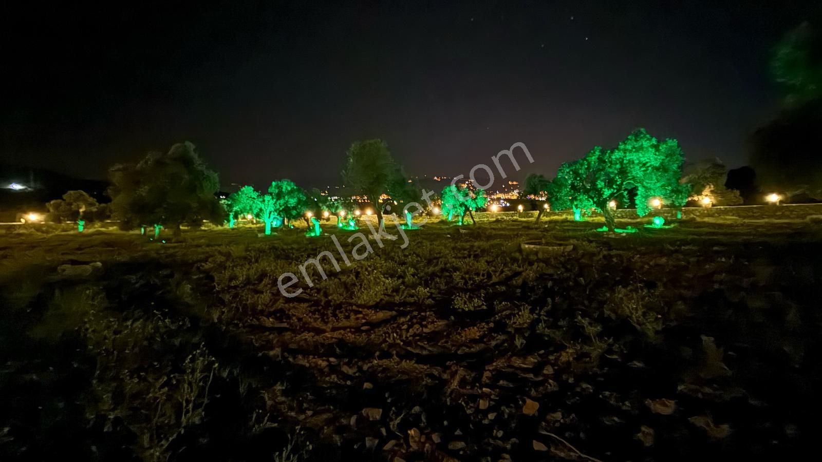 Bayındır Ve Ege Bölgesinin En Güzel Yeri Satılık - Görsel 29