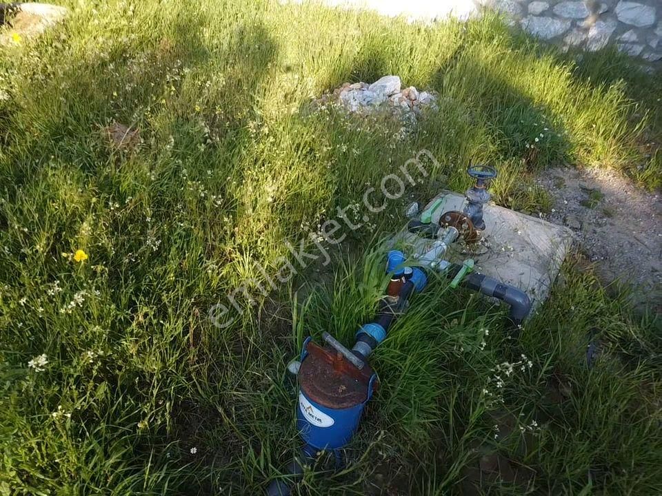 Bayındır Ve Ege Bölgesinin En Güzel Yeri Satılık - Görsel 5