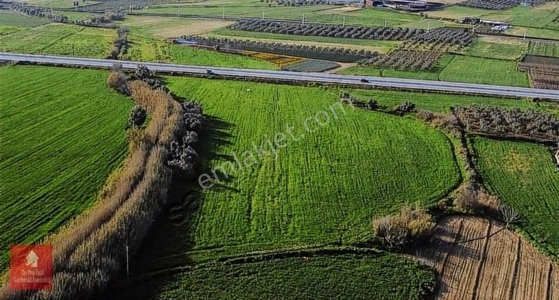 Tire Pınar Emlak Tan Satılık Tarla - Görsel 10