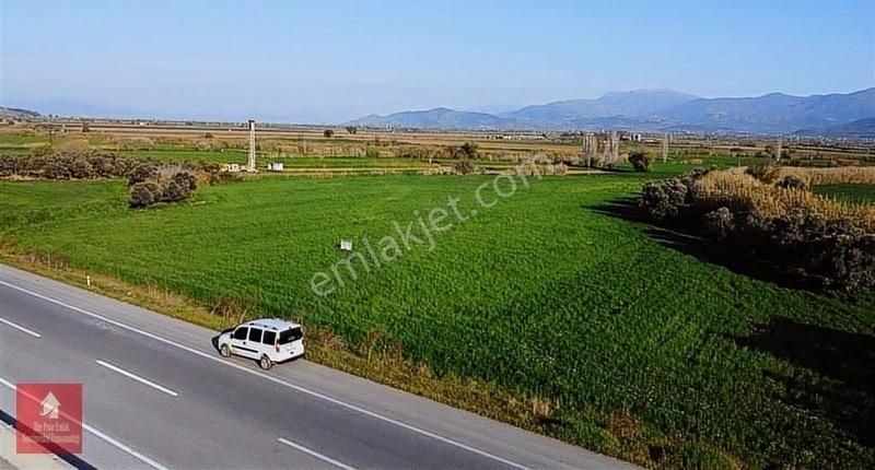 Tire Pınar Emlak Tan Satılık Tarla - Görsel 5