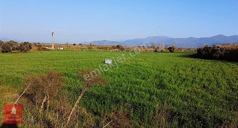 Tire Pınar Emlak Tan Satılık Tarla - Görsel 18