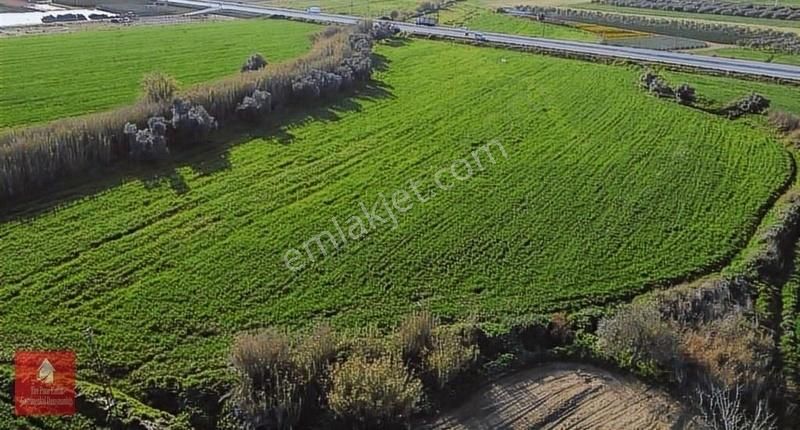 Tire Pınar Emlak Tan Satılık Tarla - Görsel 7