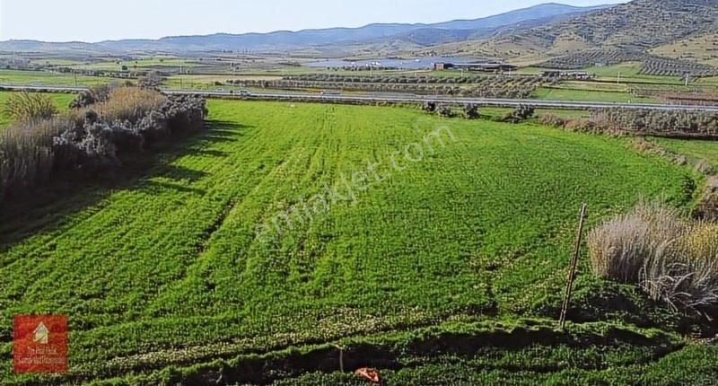 Tire Pınar Emlak Tan Satılık Tarla - Görsel 6