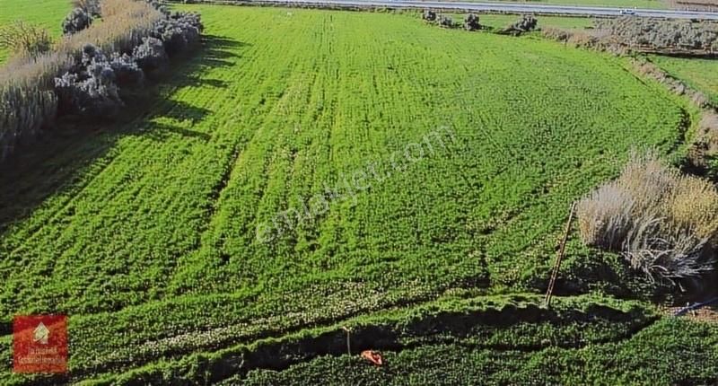 Tire Pınar Emlak Tan Satılık Tarla - Görsel 14