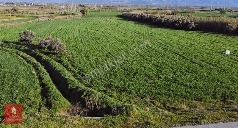 Tire Pınar Emlak Tan Satılık Tarla - Görsel 17