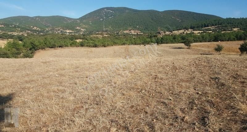 Yukarışapçıda Yatırımlık Araç Ve Daire Takaslı - Görsel 2