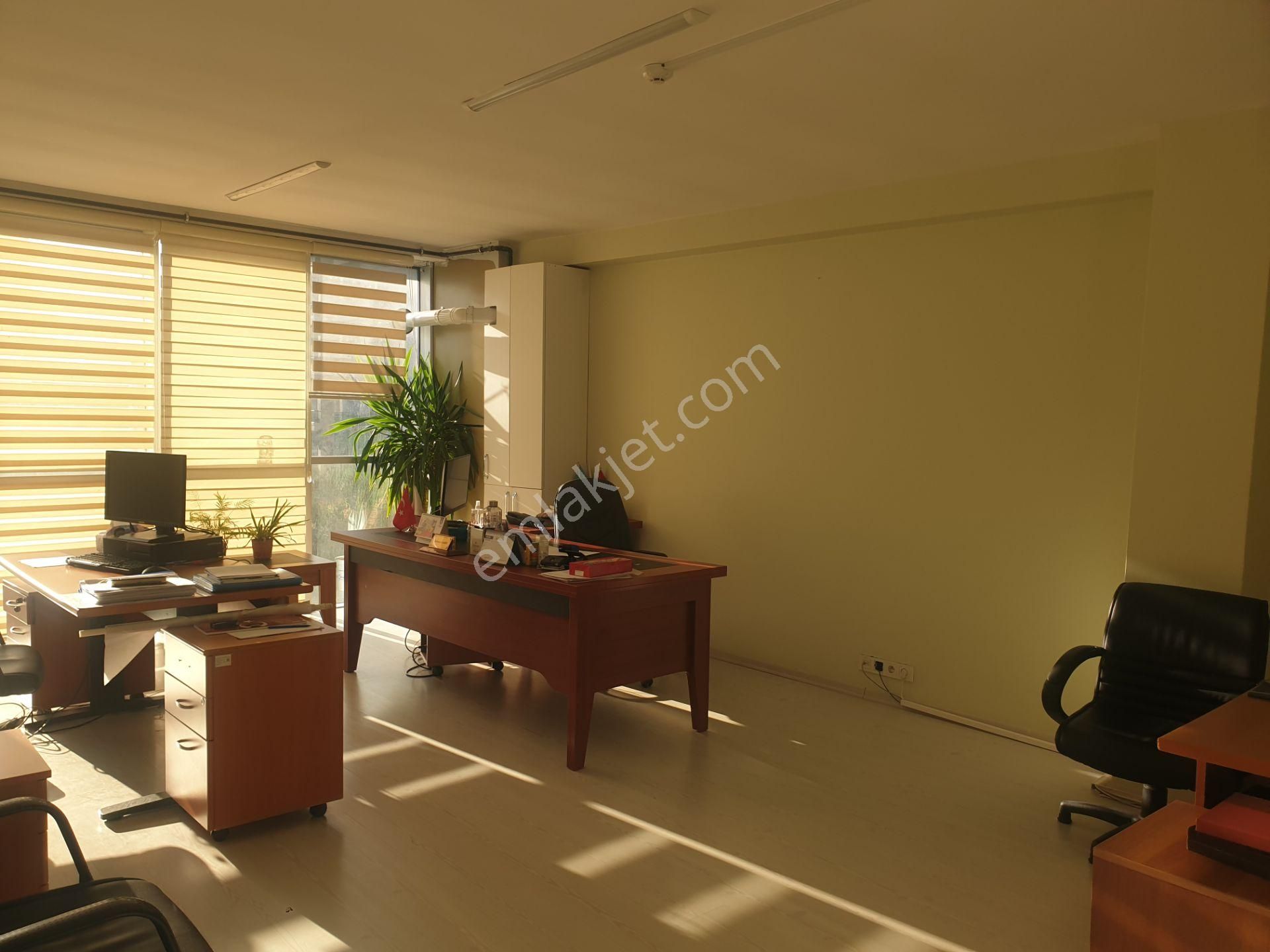 Hürriyet Bulvarı Çarşıda 425 M2 Kiralık Katlar - Görsel 4