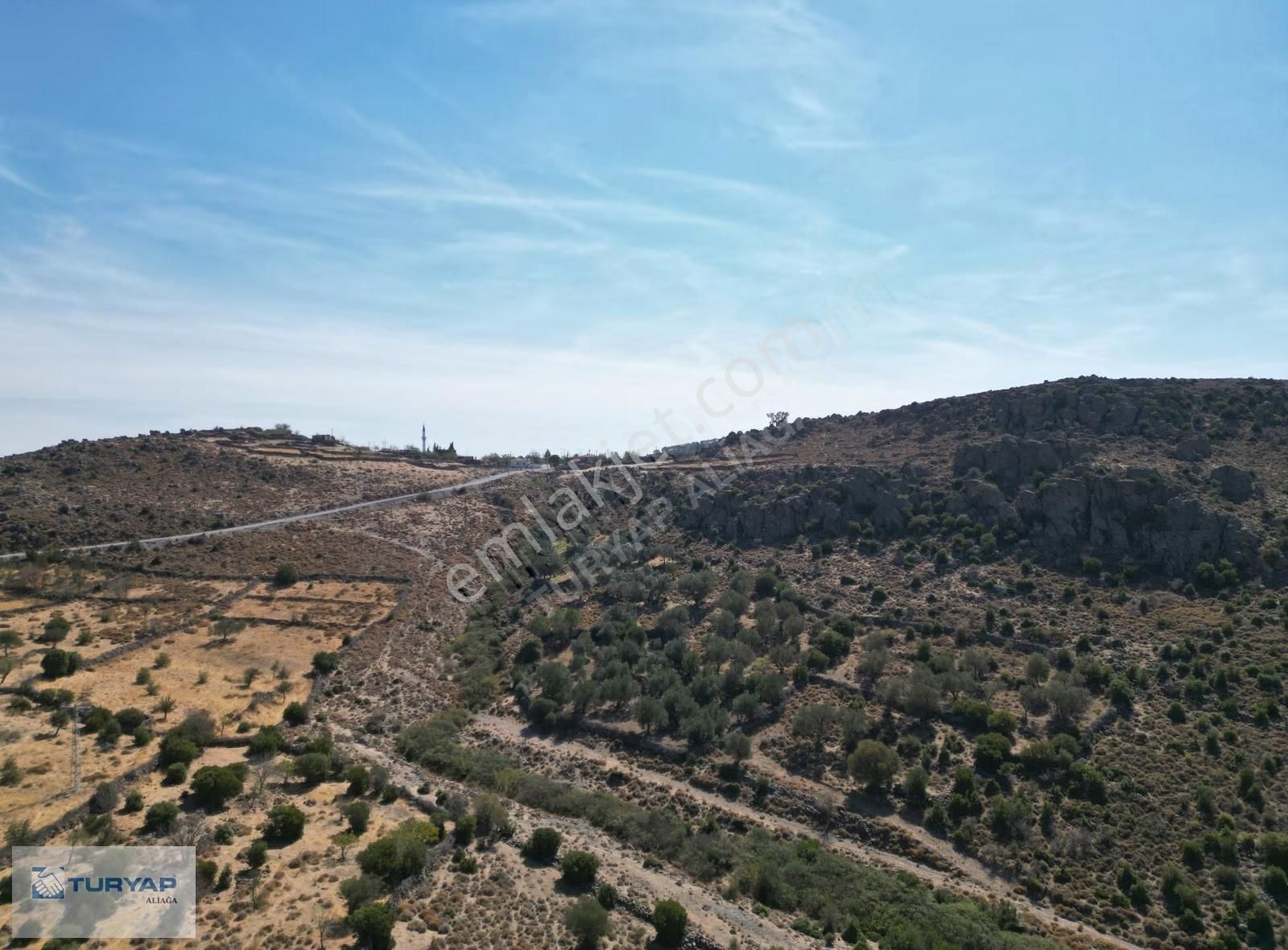 Turyap'tan Kapukaya Da Satılık Zeytinlik