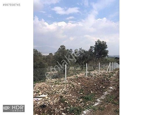 Kaçırılmayacak Satılık Kelepir Zeytinlik - Görsel 16