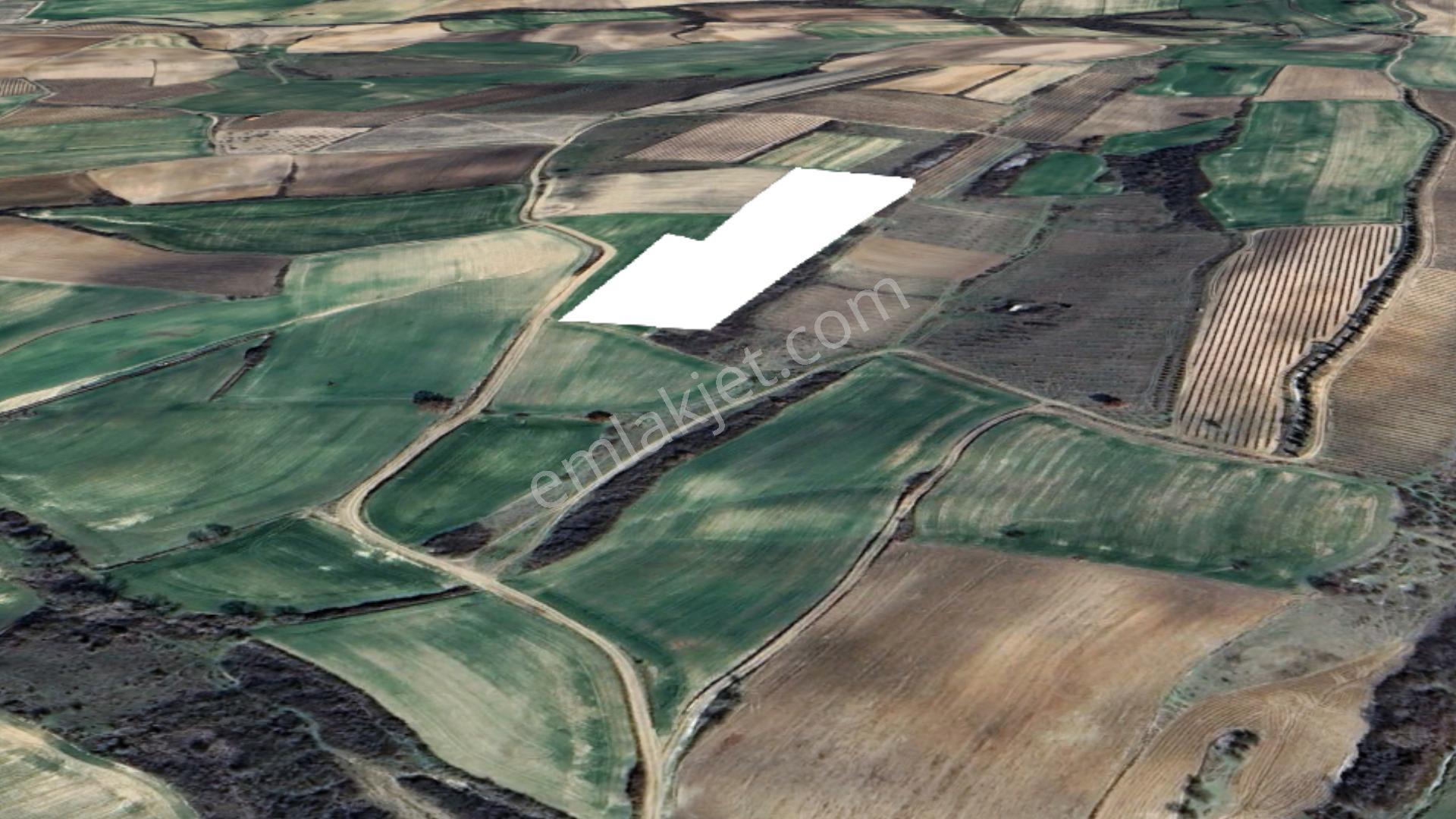 Edirne İpsala Sarpdere-satılık Tarla-iyi Bir Yatırım-15.600 M2