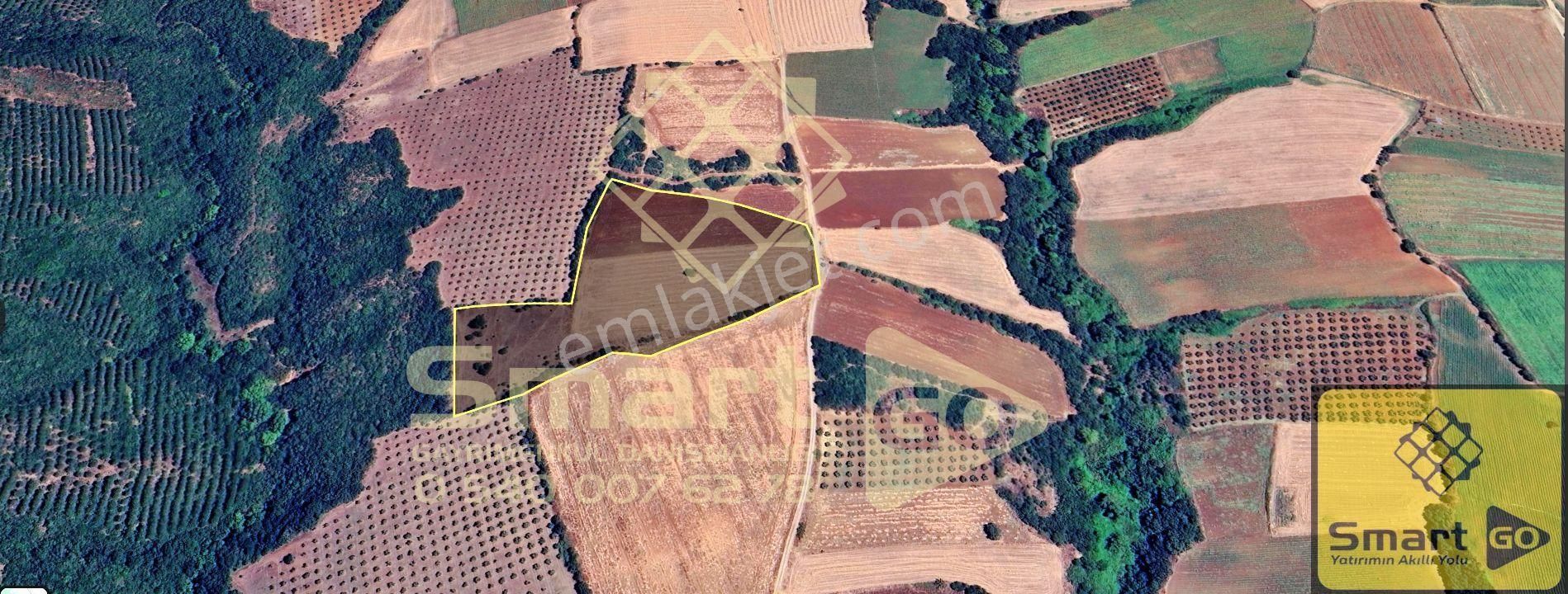 Karacabey Doğla'da 25.250 M² Satılık Tarla - Görsel 11