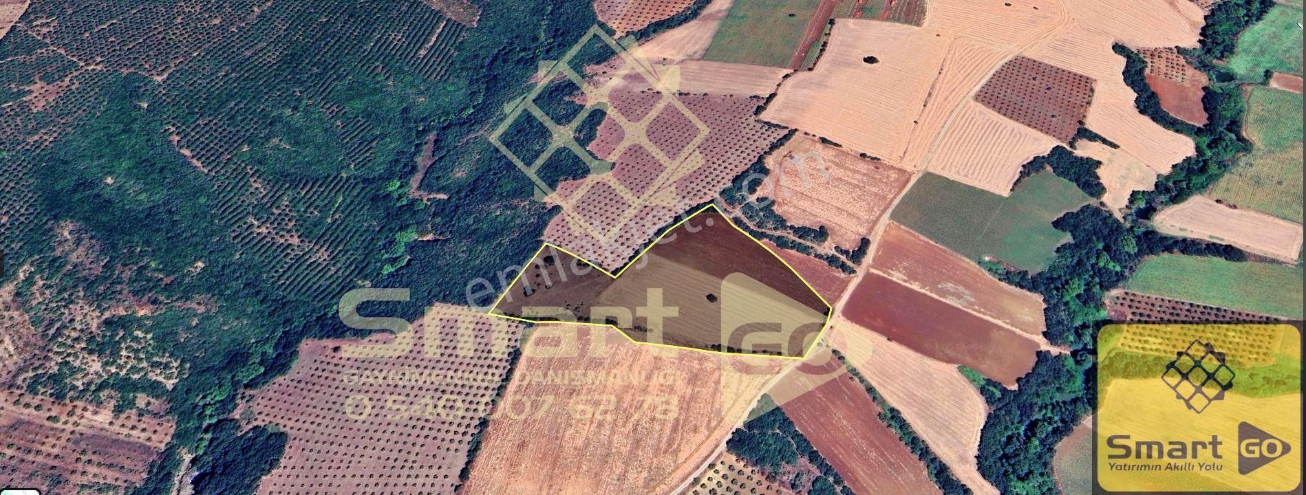 Karacabey Doğla'da 25.250 M² Satılık Tarla - Görsel 18