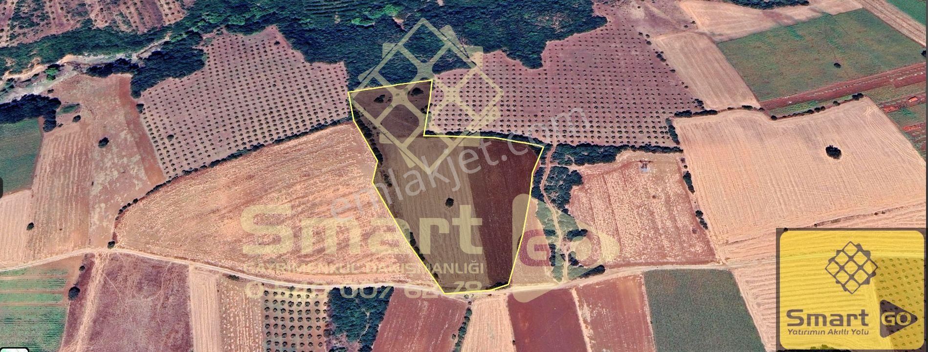 Karacabey Doğla'da 25.250 M² Satılık Tarla - Görsel 13