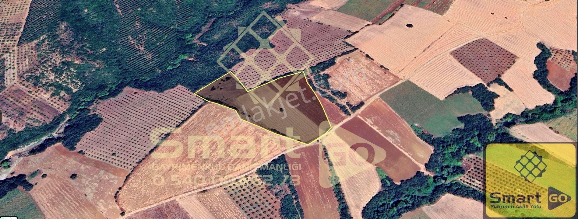 Karacabey Doğla'da 25.250 M² Satılık Tarla - Görsel 24