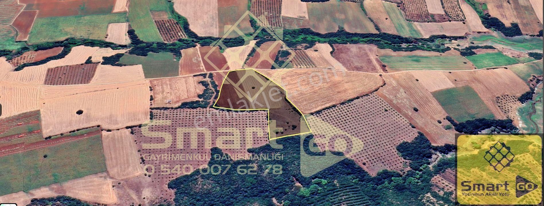 Karacabey Doğla'da 25.250 M² Satılık Tarla - Görsel 32