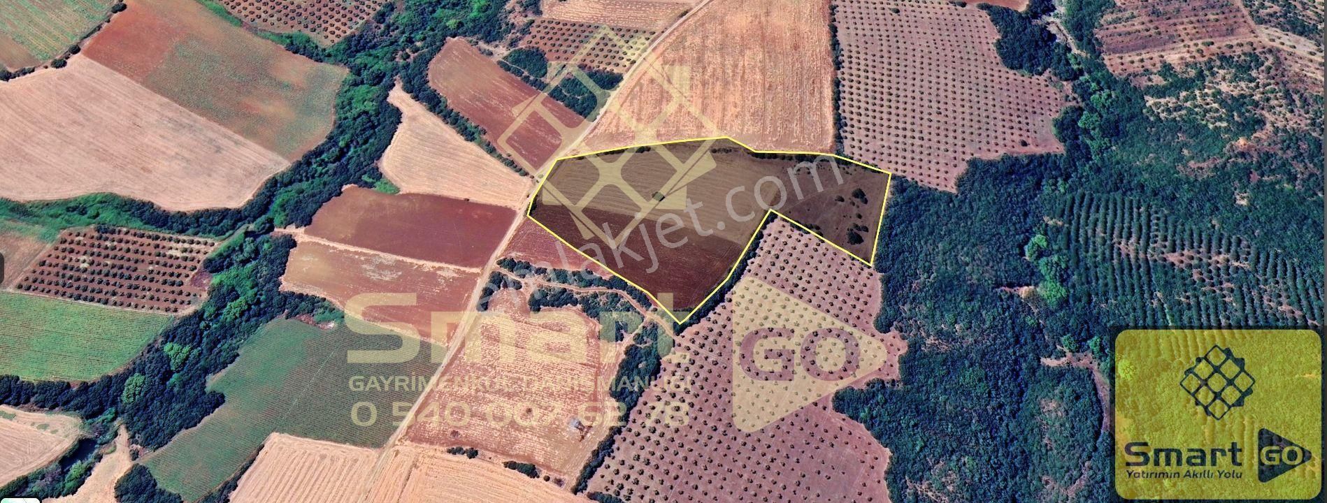 Karacabey Doğla'da 25.250 M² Satılık Tarla - Görsel 10