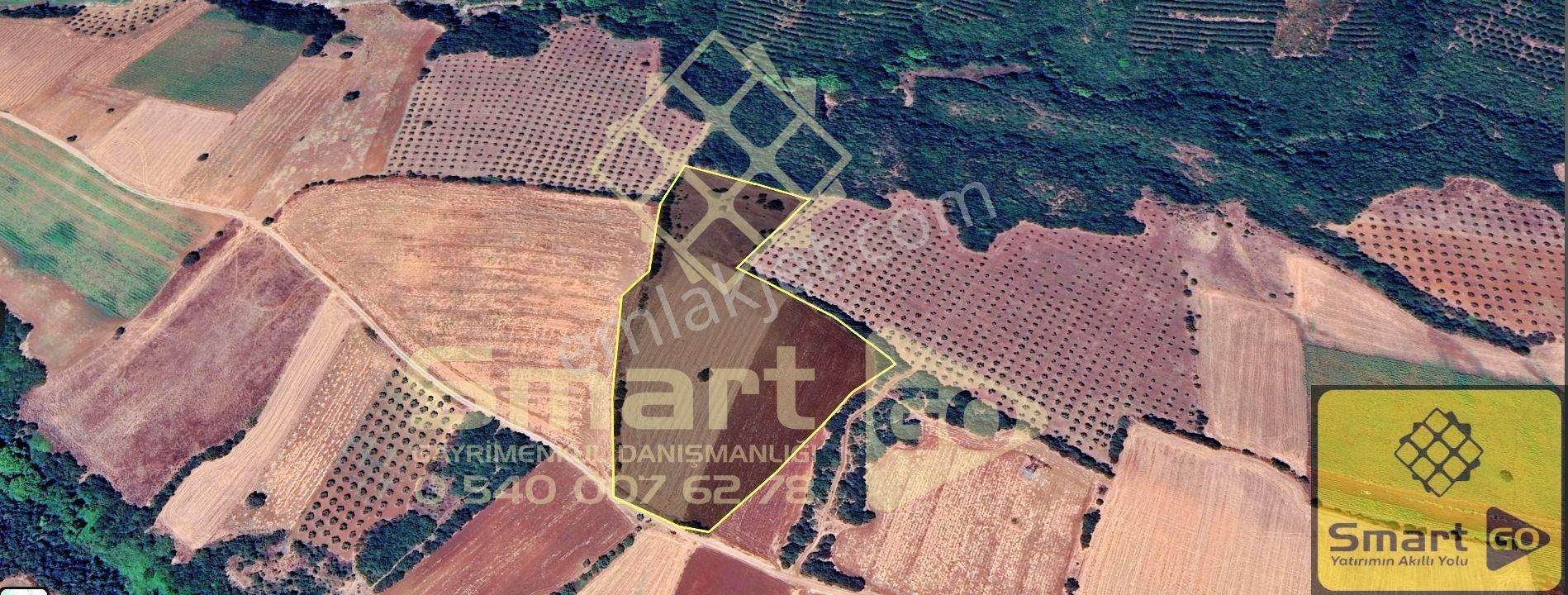 Karacabey Doğla'da 25.250 M² Satılık Tarla - Görsel 2