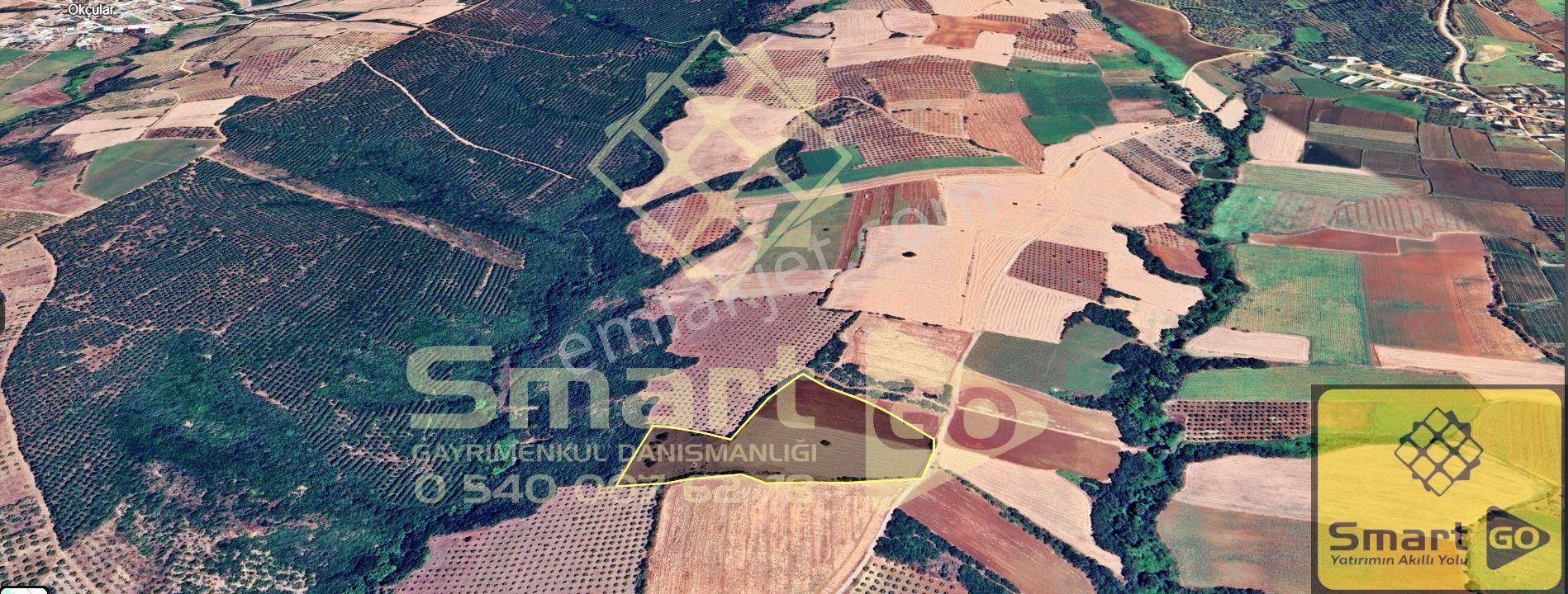 Karacabey Doğla'da 25.250 M² Satılık Tarla - Görsel 12