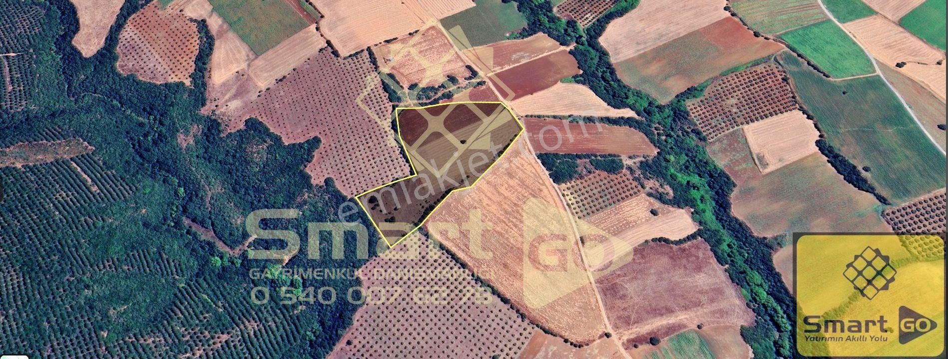 Karacabey Doğla'da 25.250 M² Satılık Tarla - Görsel 7