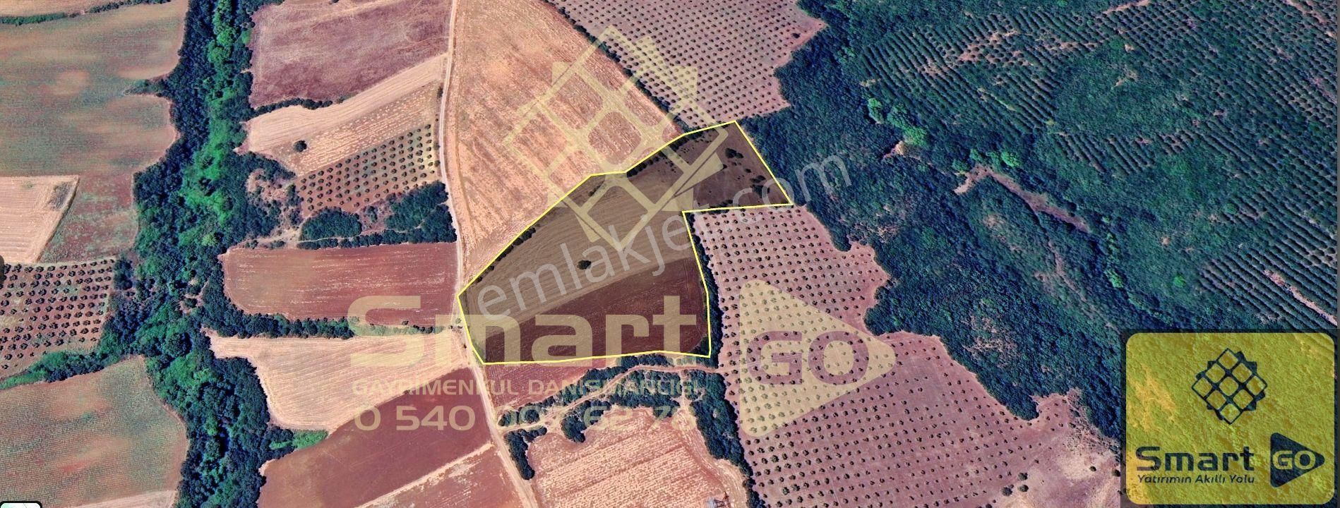 Karacabey Doğla'da 25.250 M² Satılık Tarla - Görsel 8