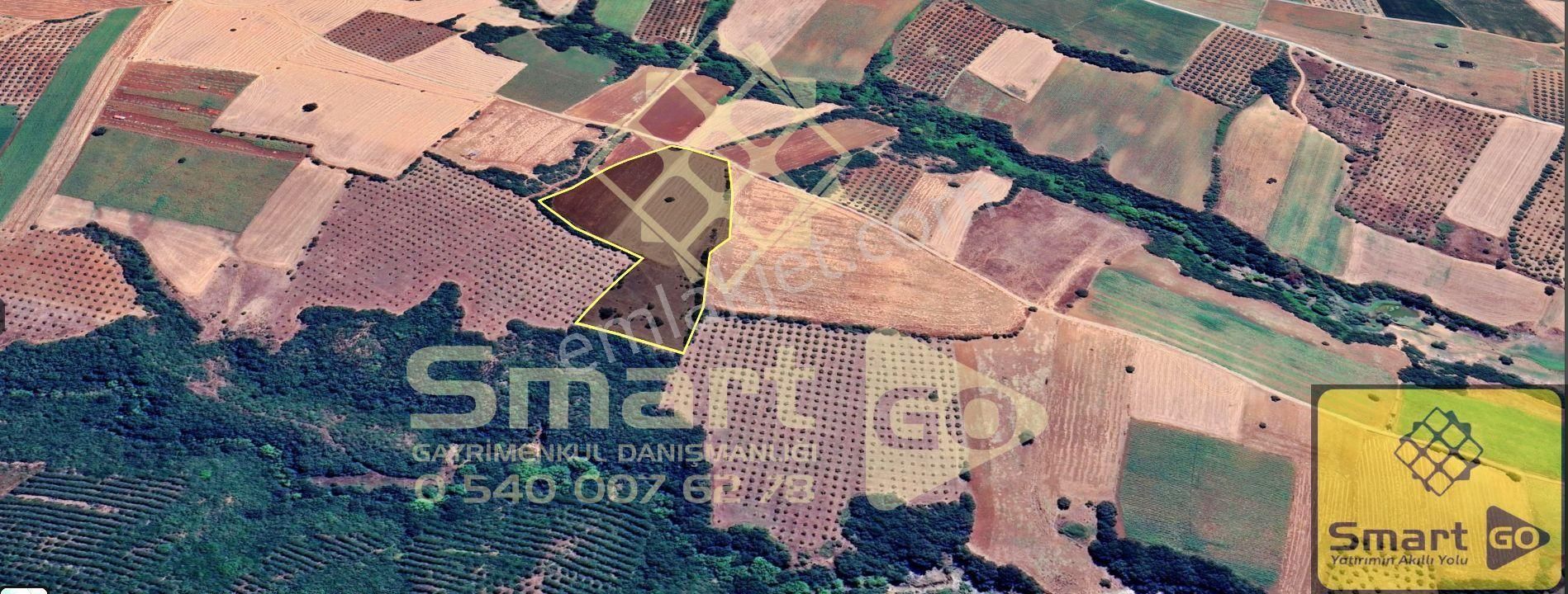 Karacabey Doğla'da 25.250 M² Satılık Tarla - Görsel 31